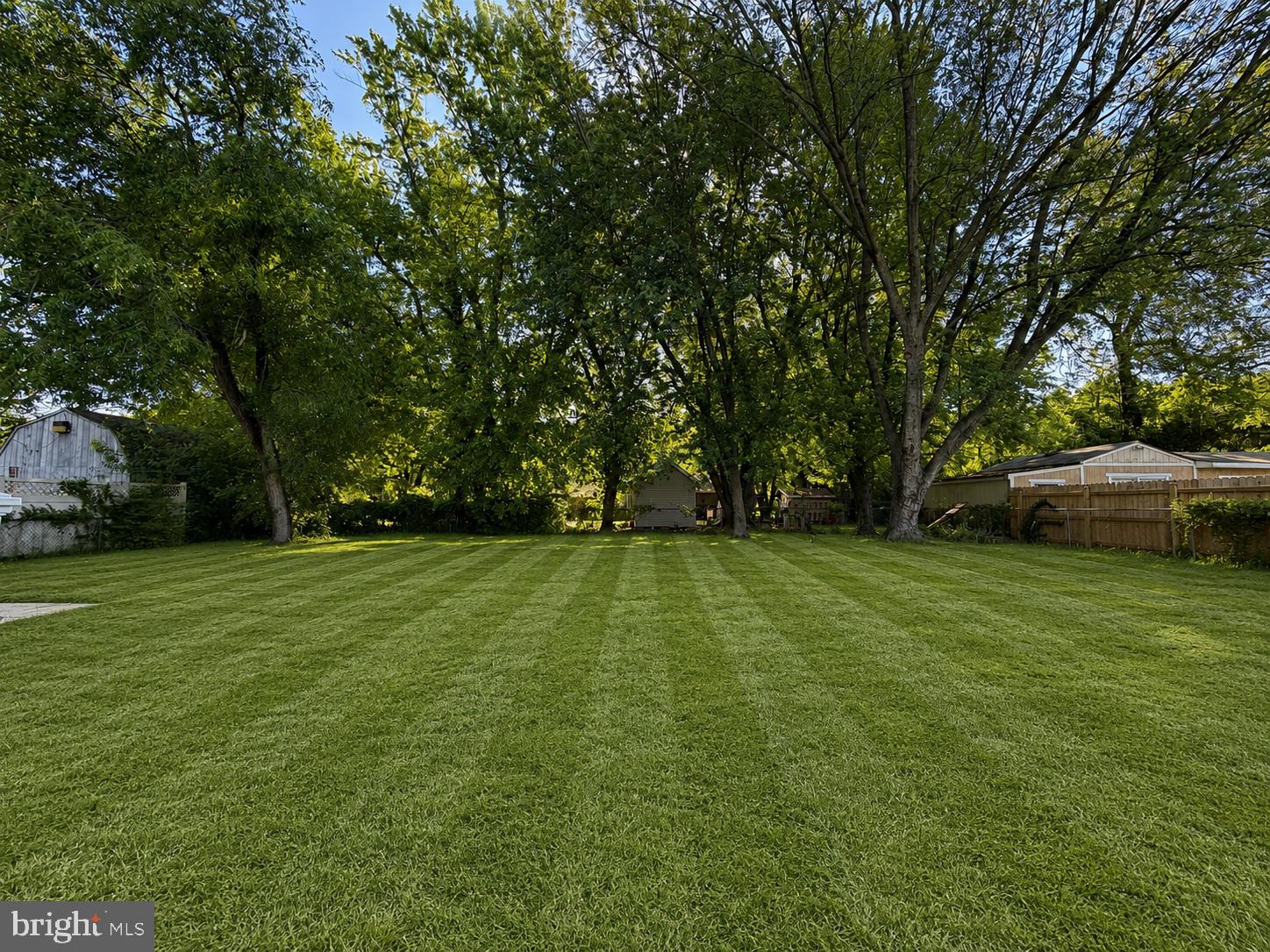109 Birch Road Stevensville, MD 21666 - Photo 57 of 61 Lush green oasis in a serene setting.