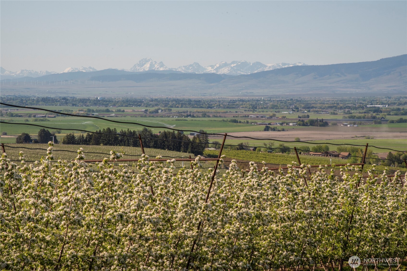 1677 Dodge Road Ellensburg, WA 98926 - Photo 35 of 35