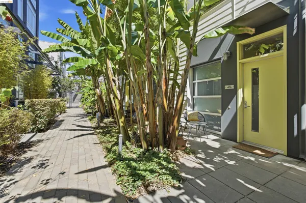 a view of a back yard of the house