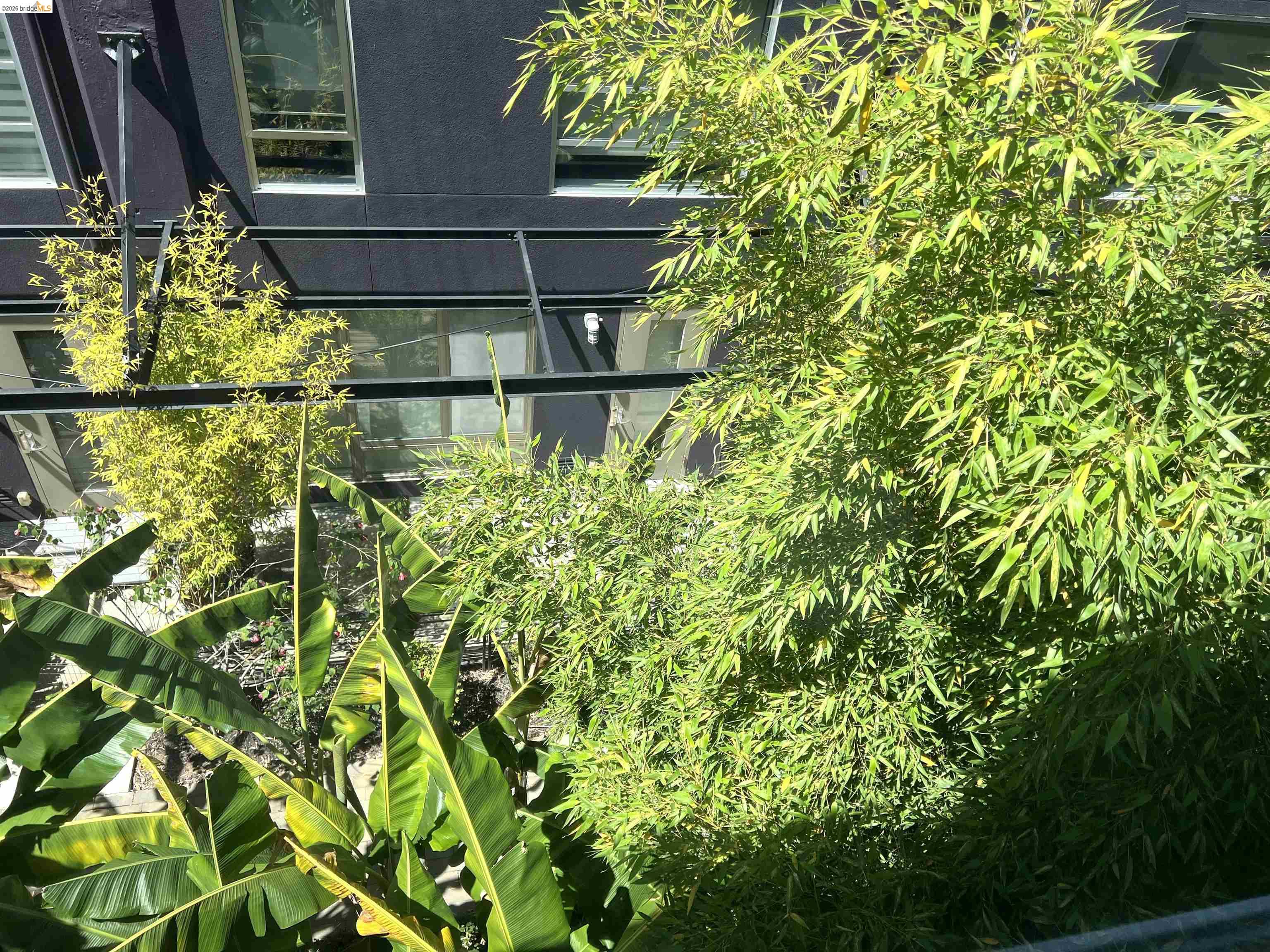 1253 Pine Street Oakland, CA 94607 - Photo 41 of 41