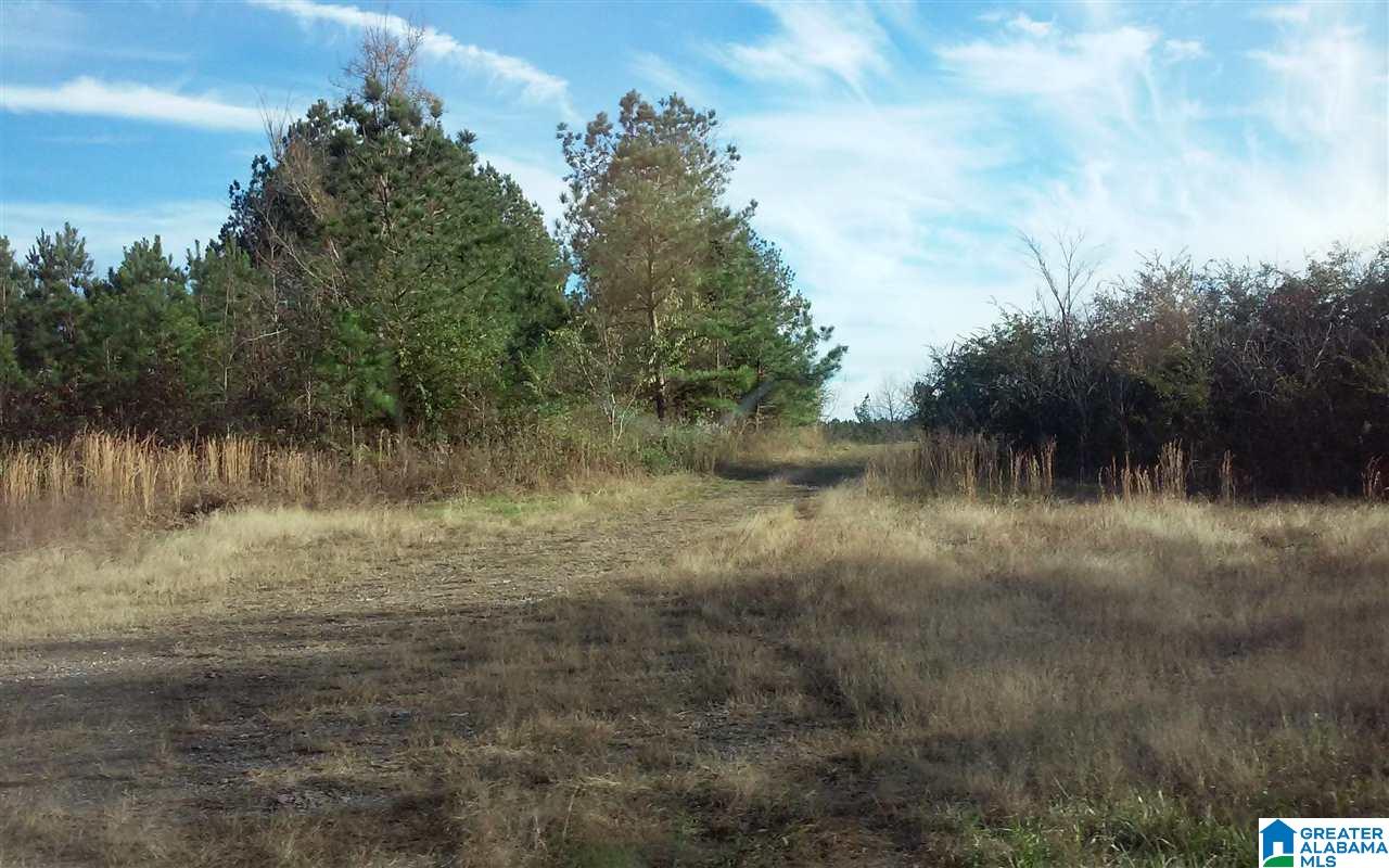 Hazelrig Road, Unit 50 Oneonta, AL 35121 - Photo 1 of 1