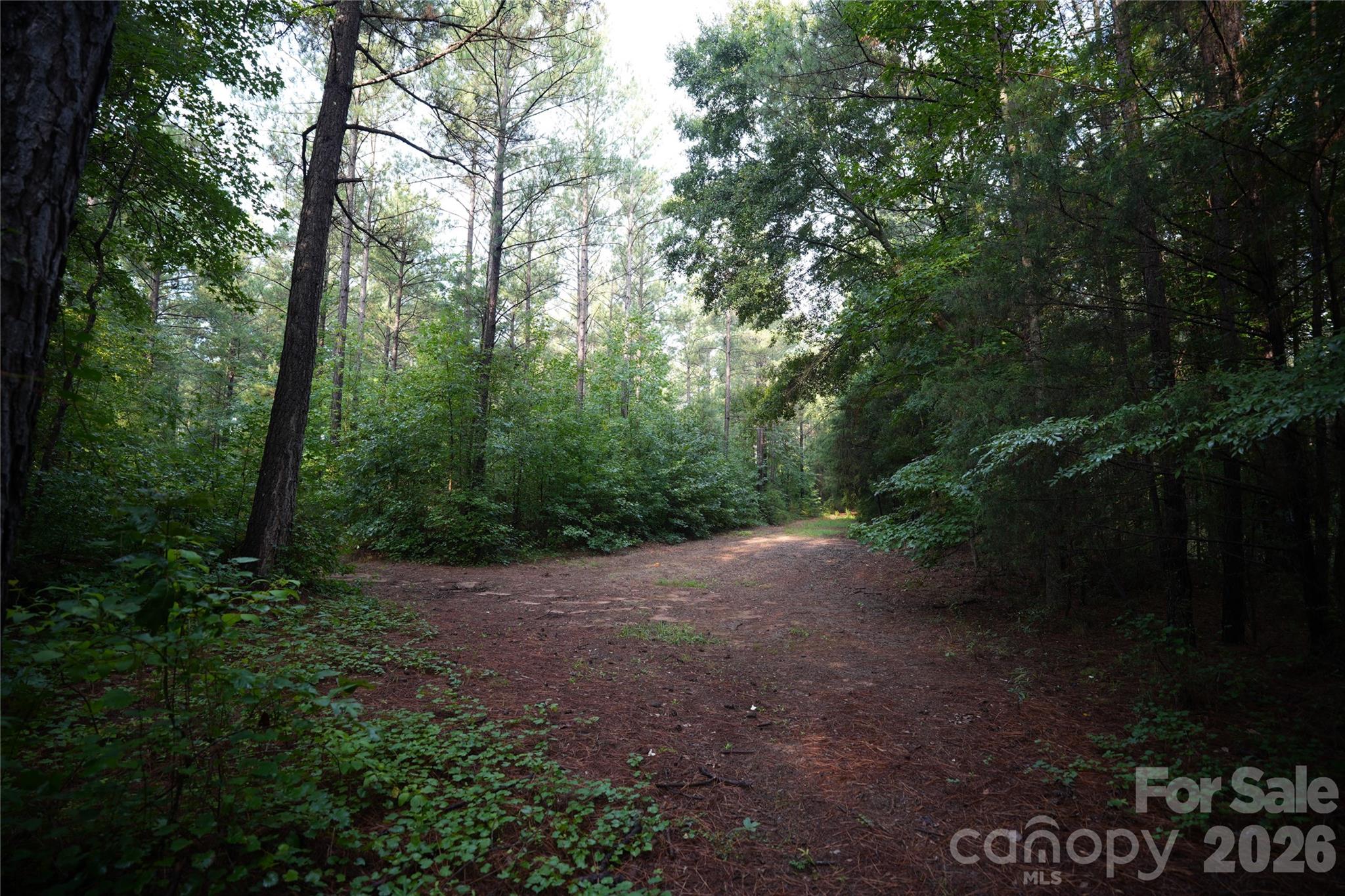 0 Bobby Faucette Road, Unit 7 Jonesville, SC 29353 - Photo 8 of 11 Gallery Image 8