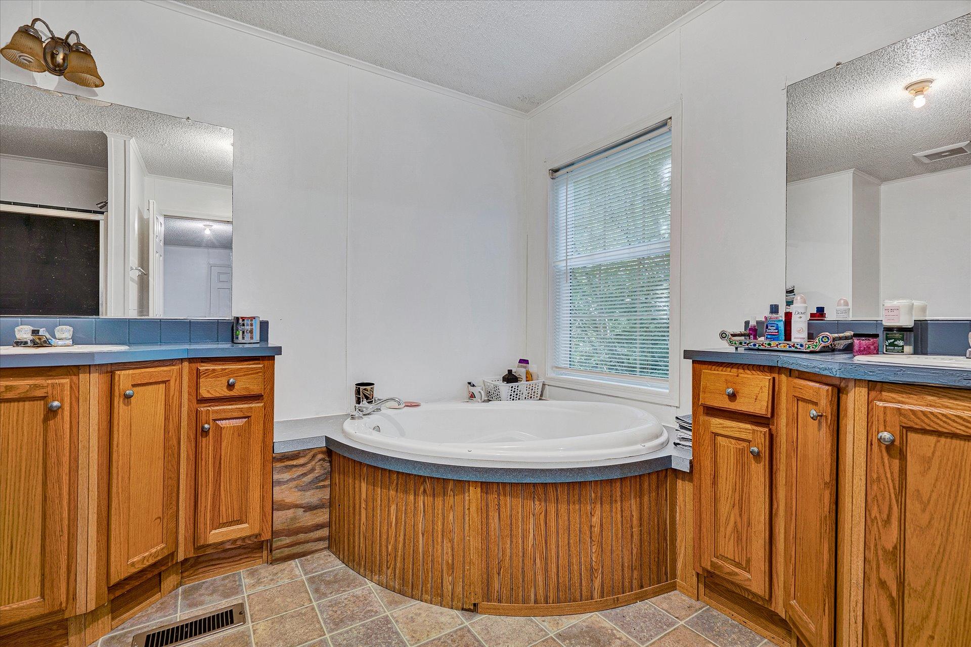 108 Summitt Ridge Drive Blue Ridge, VA 24064 - Photo 25 of 30 a bathroom with a tub sink and mirror