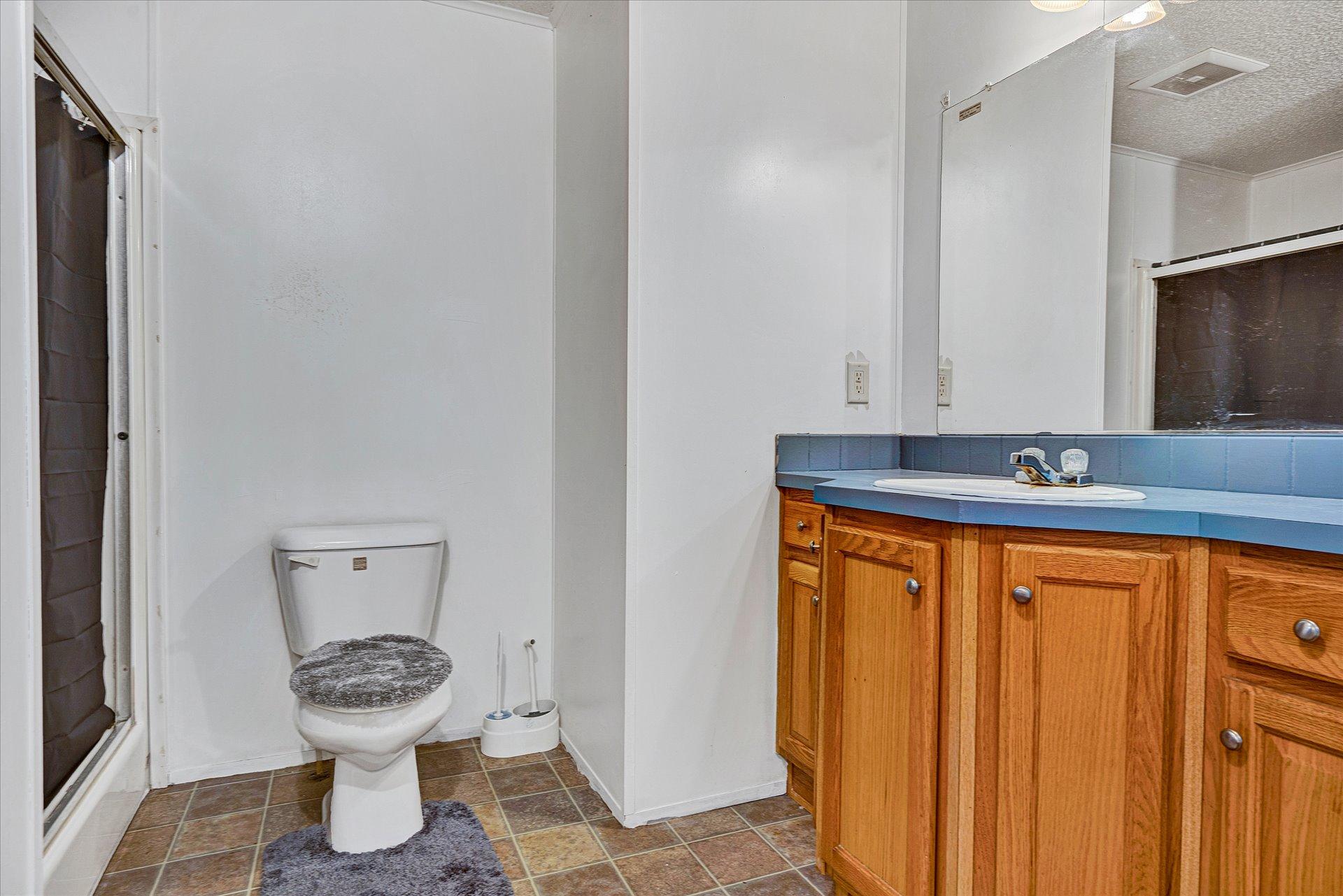 108 Summitt Ridge Drive Blue Ridge, VA 24064 - Photo 26 of 30 a bathroom with a sink and a toilet