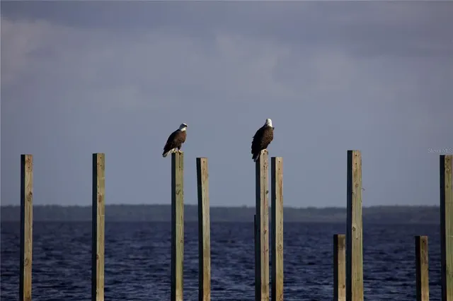 $650,000 | 2518 Fort Lane Road, Geneva, FL 32732