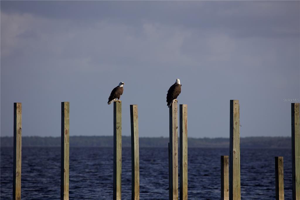 2518 Fort Lane Road Geneva, FL 32732 - Photo 40 of 44 a view of a bathroom