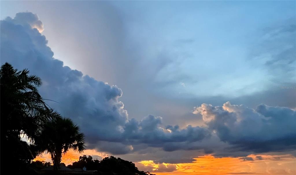 2518 Fort Lane Road Geneva, FL 32732 - Photo 44 of 44 a view of a yard