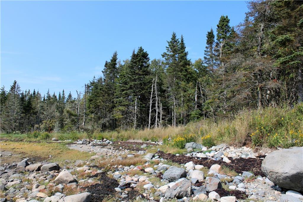 Lot 3 Salt Breeze Way Addison, ME 04606 - Photo 6 of 26 Your own bold, beautiful beach on...
