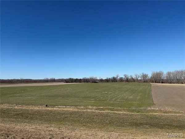 $350,000 | 0 Levee Road, Valmeyer, IL 62295