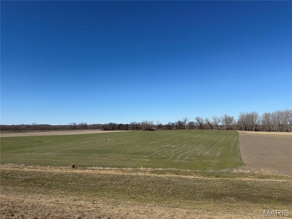 0 Levee Road Valmeyer, IL 62295 - Photo 3 of 10
