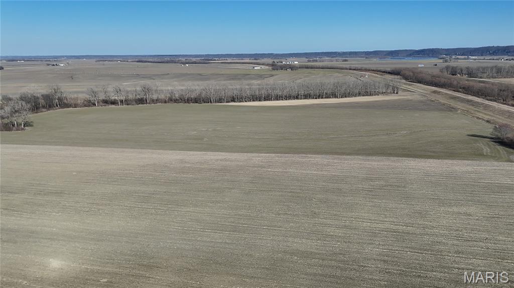 0 Levee Road Valmeyer, IL 62295 - Photo 4 of 10