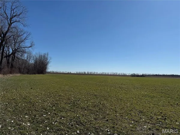 $350,000 | 0 Levee Road, Valmeyer, IL 62295