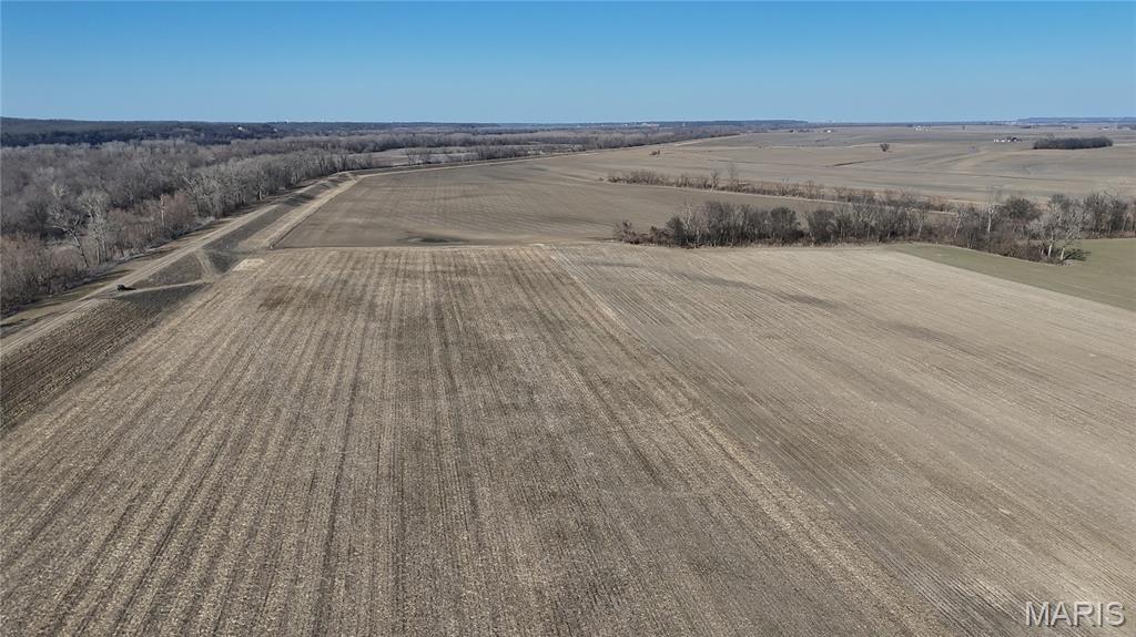 0 Levee Road Valmeyer, IL 62295 - Photo 8 of 10