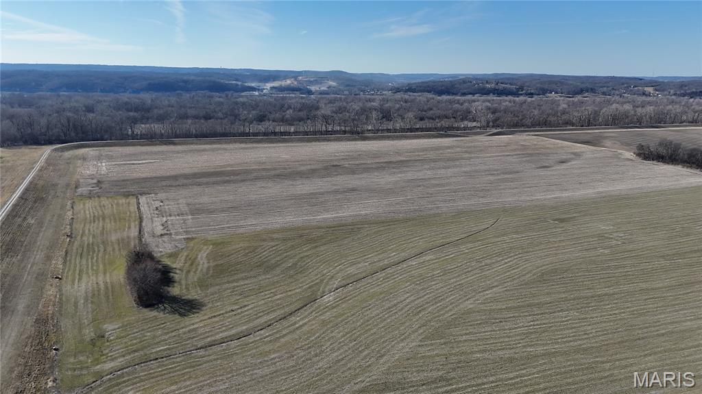 0 Levee Road Valmeyer, IL 62295 - Photo 9 of 10