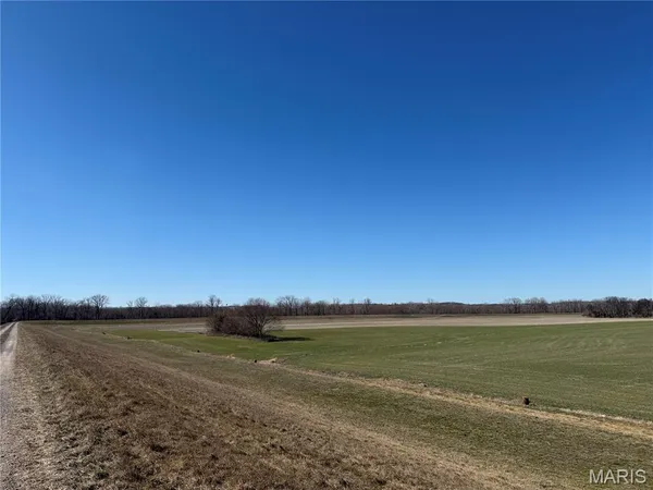 $350,000 | 0 Levee Road, Valmeyer, IL 62295