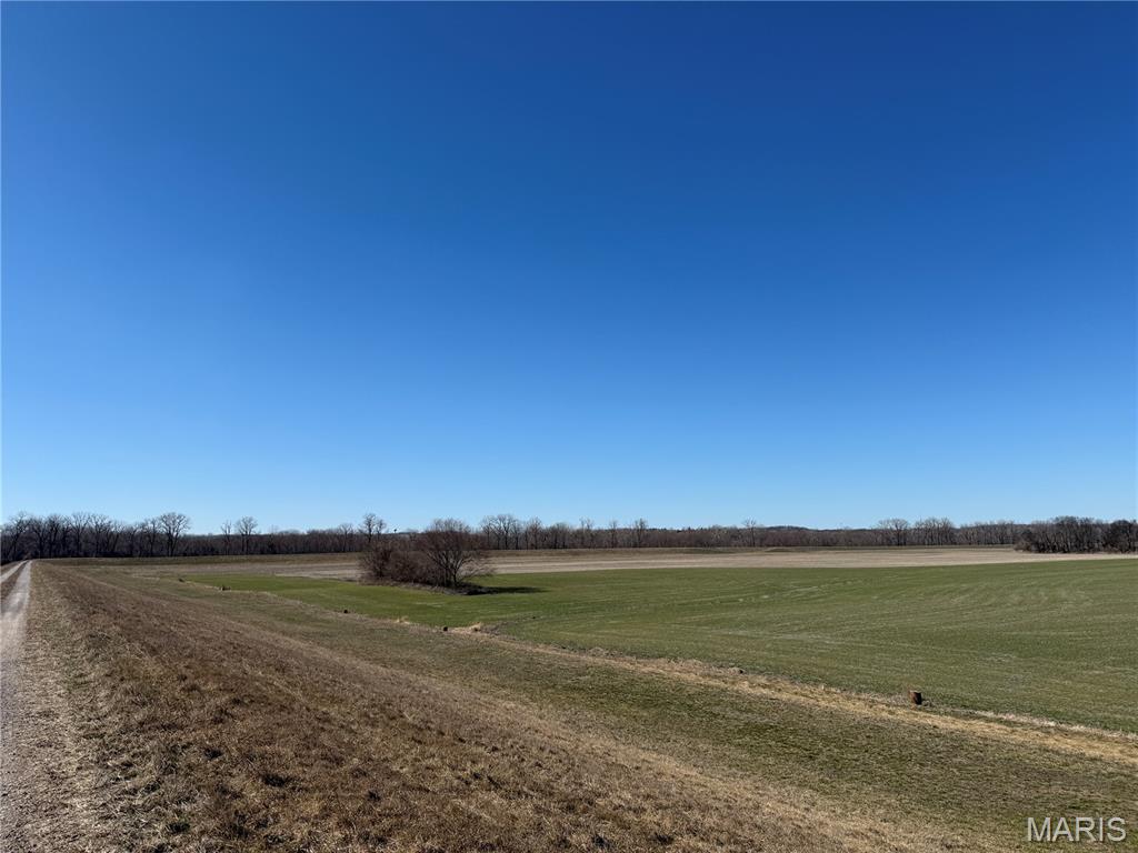 0 Levee Road Valmeyer, IL 62295 - Photo 10 of 10