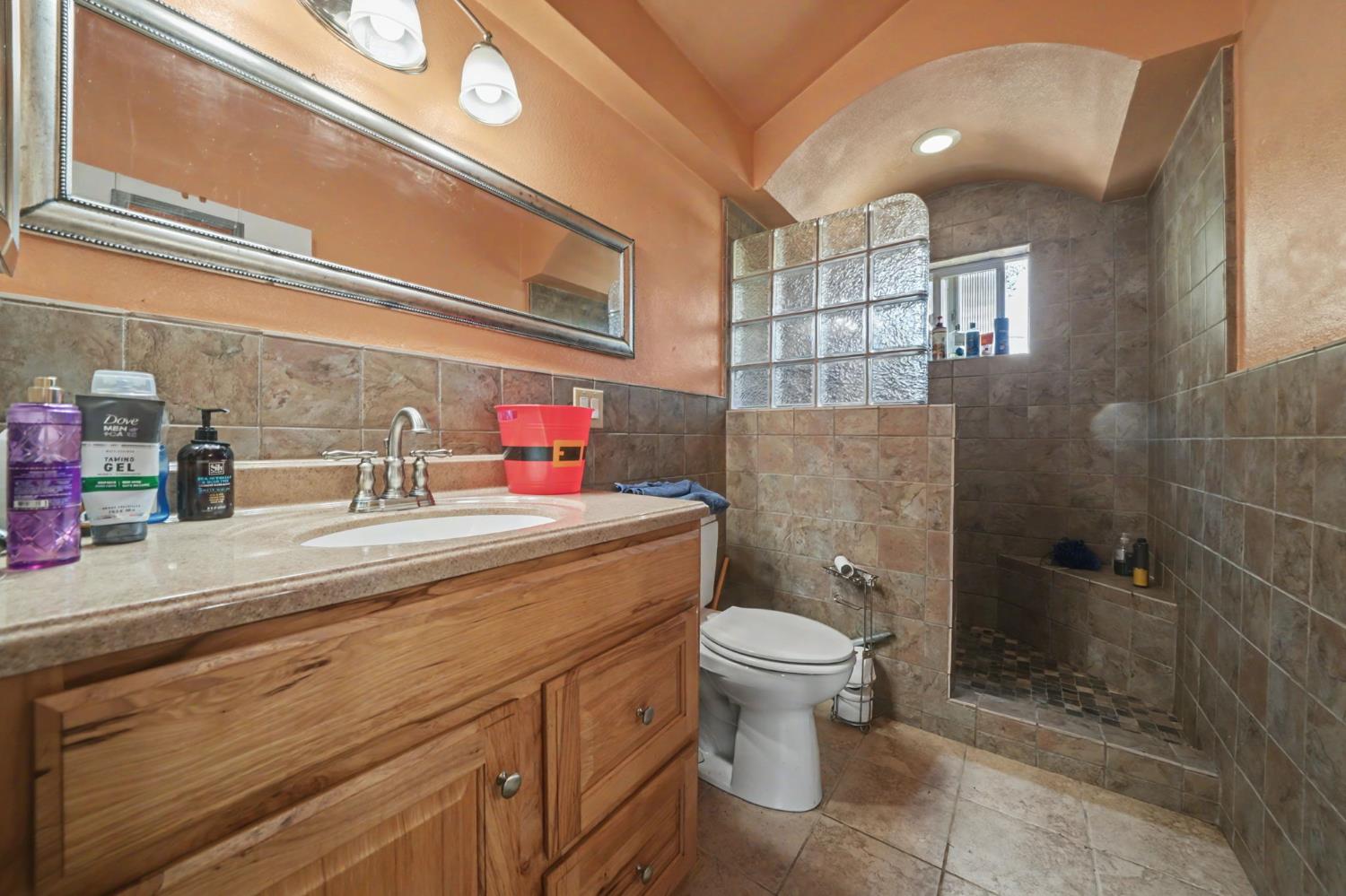 411 Rex Avenue Jackson, CA 95642 - Photo 63 of 72 a bathroom with a sink a toilet and shower