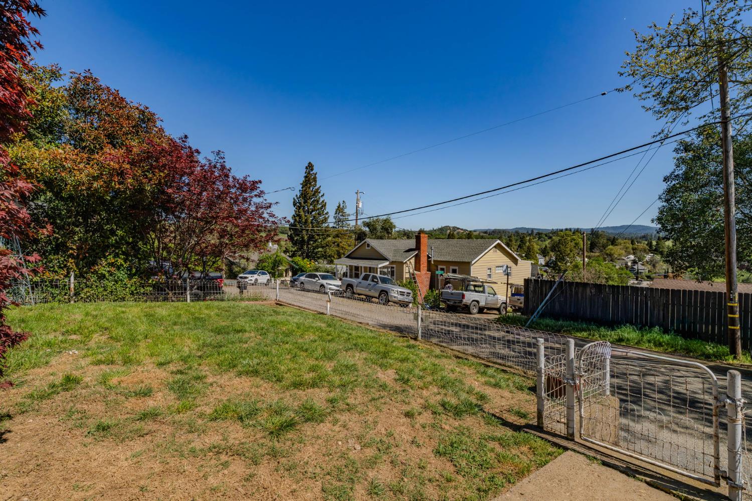 411 Rex Avenue Jackson, CA 95642 - Photo 7 of 72 a view of a yard with potted plants