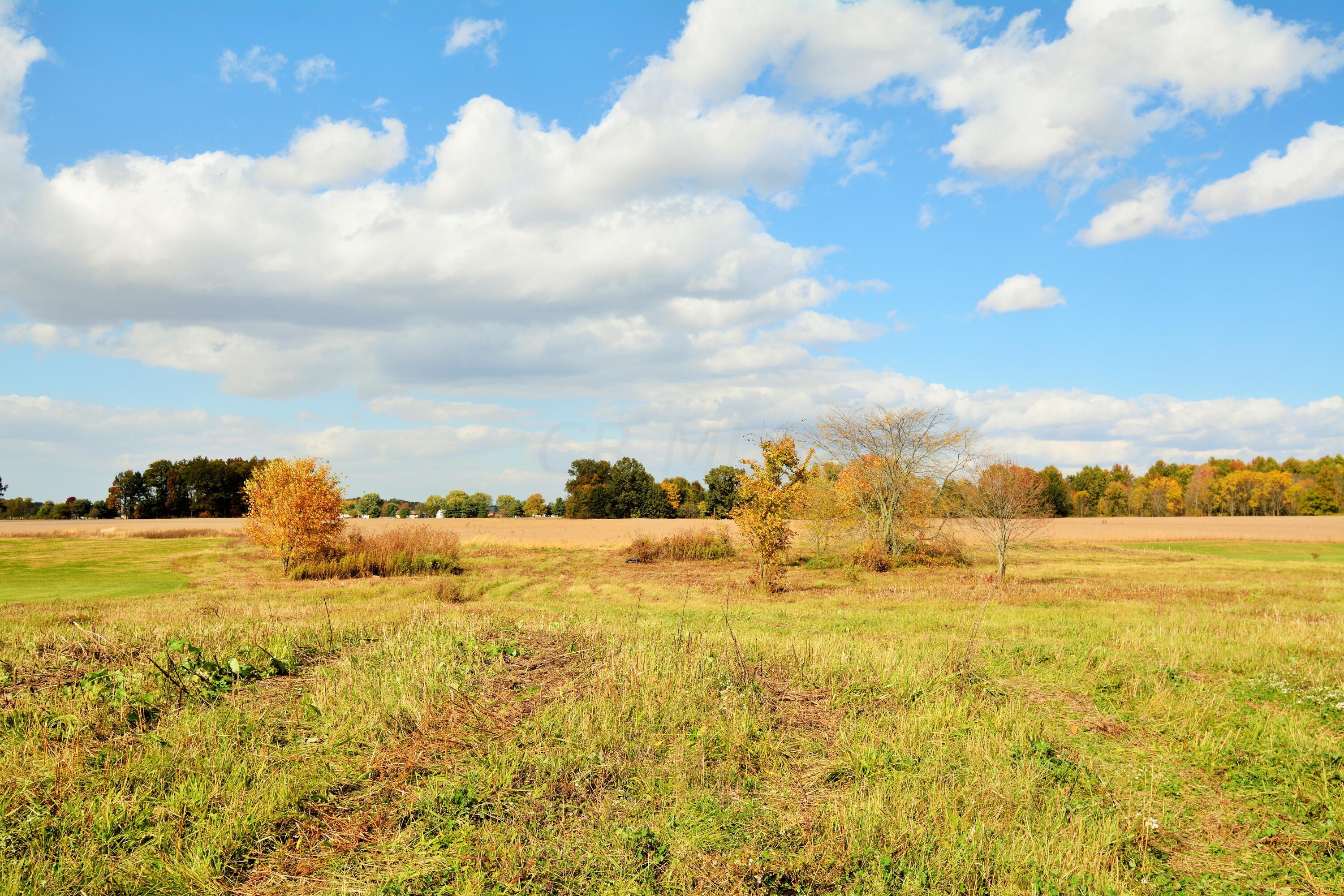 0 Beacom Road Sunbury, OH 43074 - Photo 4 of 15 DSC_3113