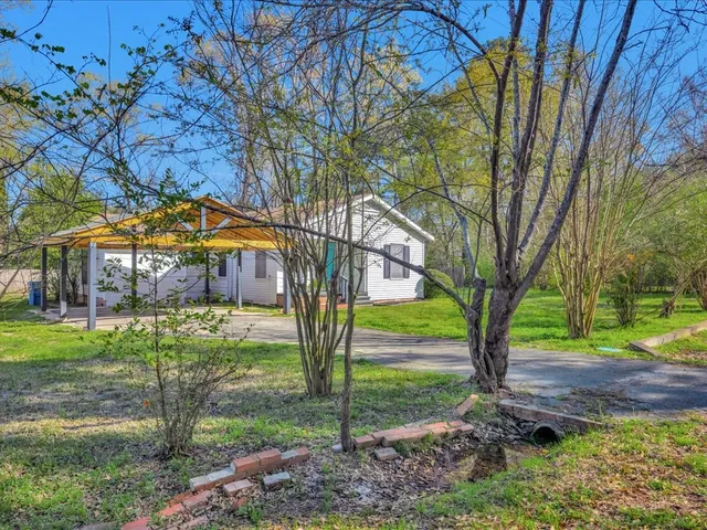 a backyard of a house with plants and large tree