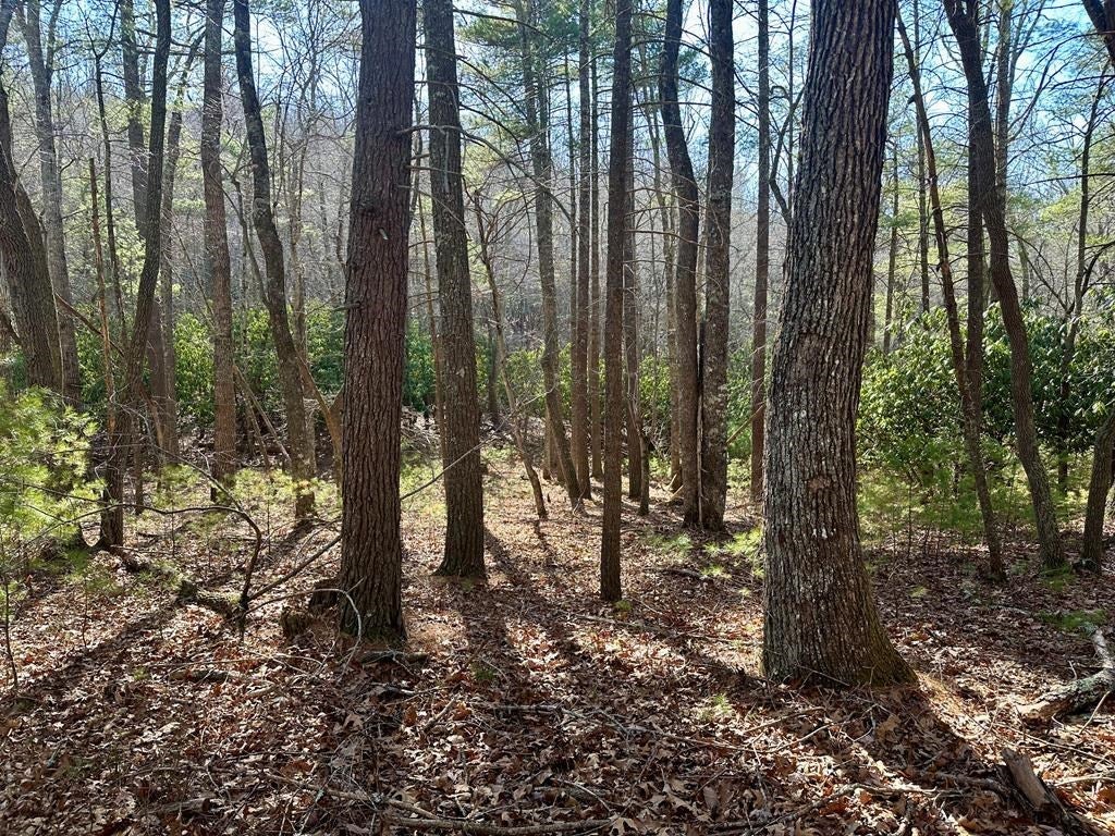 1005 Dry Road Speedwell, VA 24374 - Photo 72 of 72 Gallery Image 72
