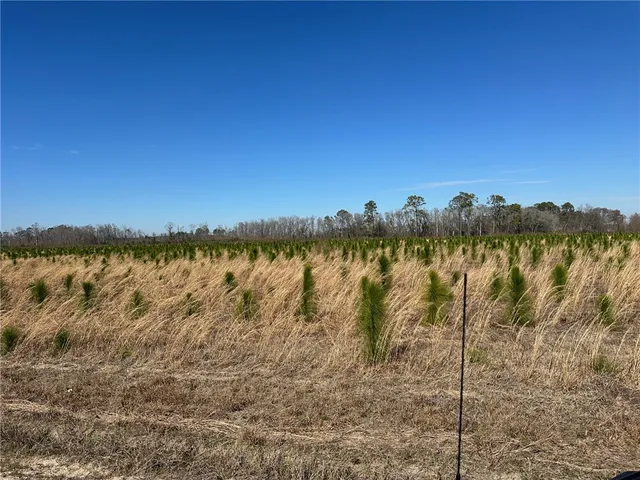 $39,000 | 12 Sellers Road Northwest, Baxley, GA 31513