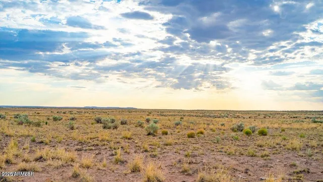 $19,900 | N7012 40 Acres Sanders Az 86512, Concho, AZ 85924