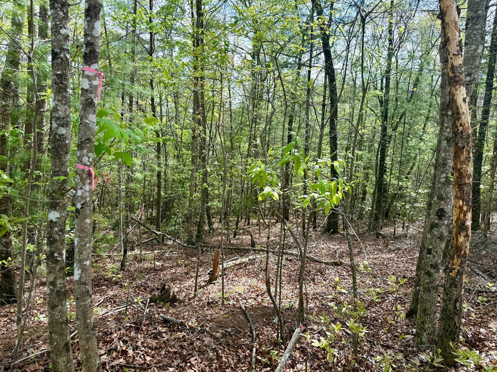 2.07-ac Rainy Farm Road Murphy, NC 28906 - Photo 7 of 11