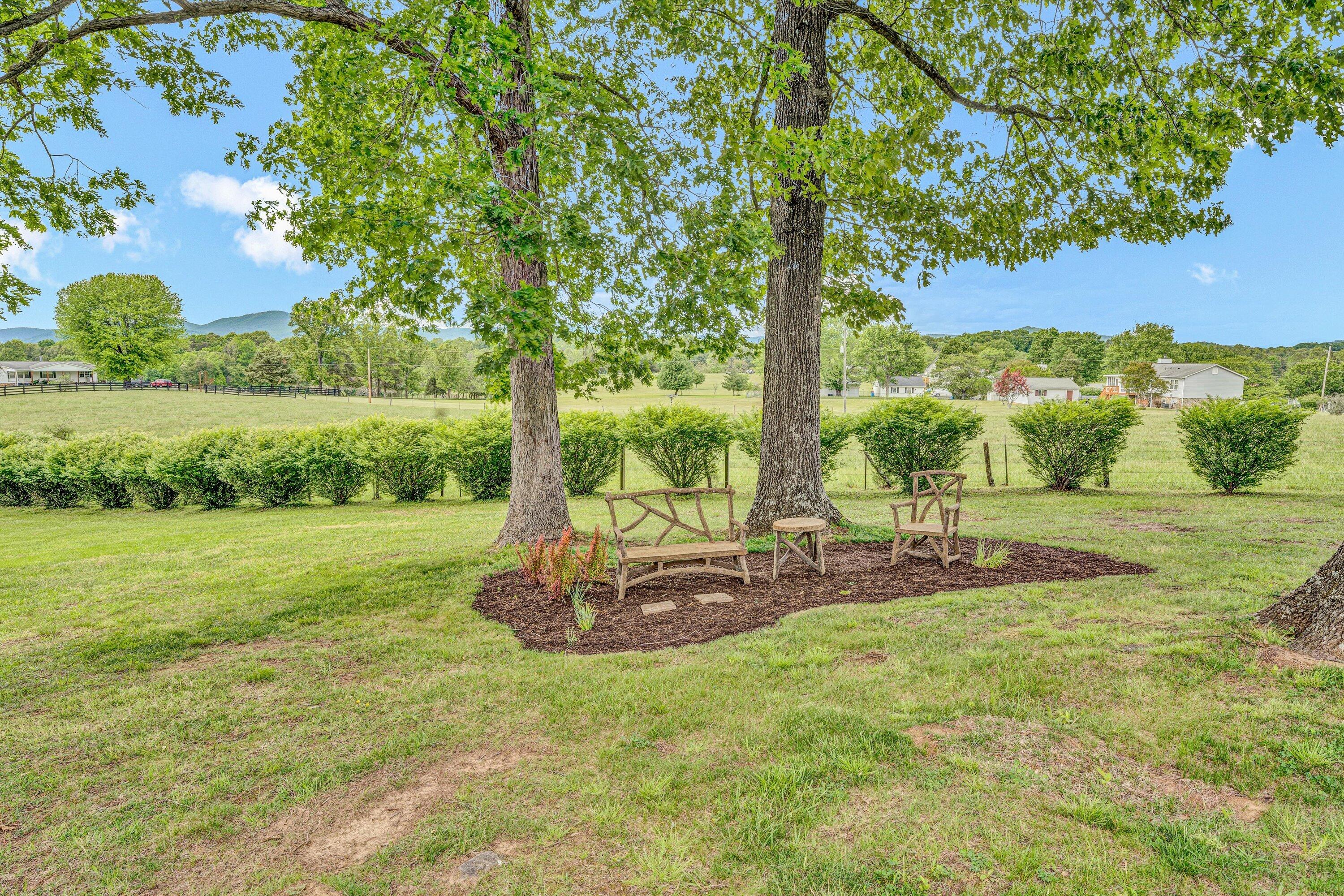 3229 Morgans Mill Road Goodview, VA 24095 - Photo 35 of 60 a view of a garden with a tree