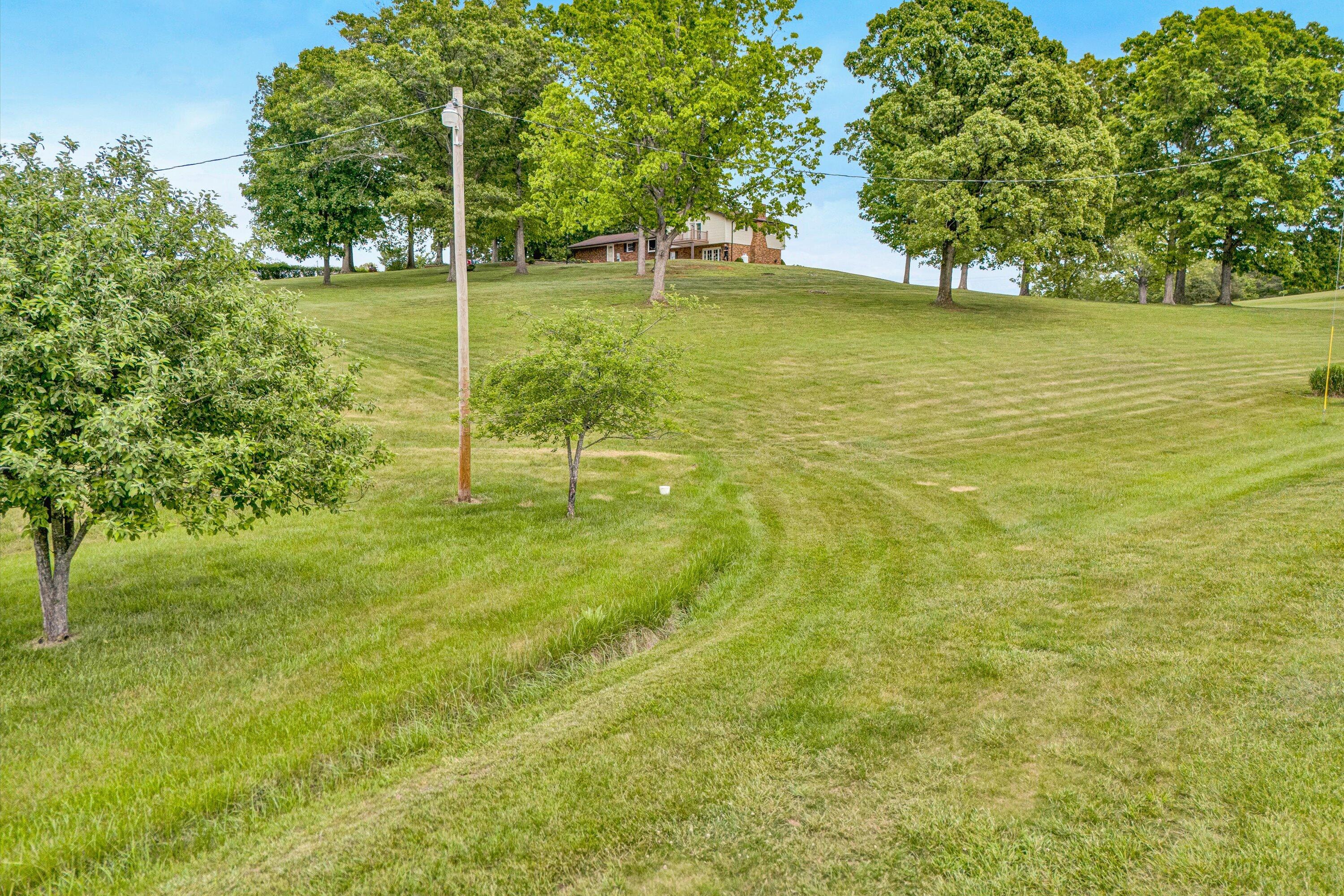 3229 Morgans Mill Road Goodview, VA 24095 - Photo 44 of 60 a view of a trees with a yard