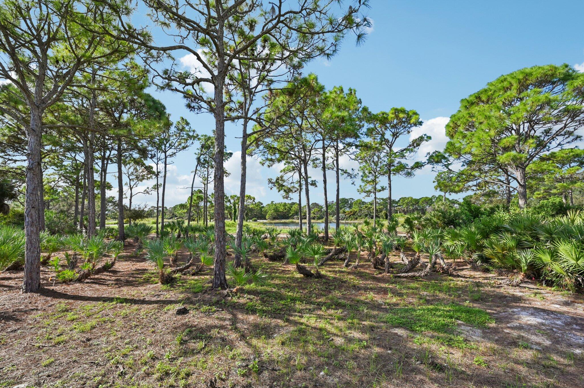 9936 Southeast Sandpine Lane Hobe Sound, FL 33455 - Photo 62 of 71 43-web-or-mls-SE Sandpine Ln-S0110-043