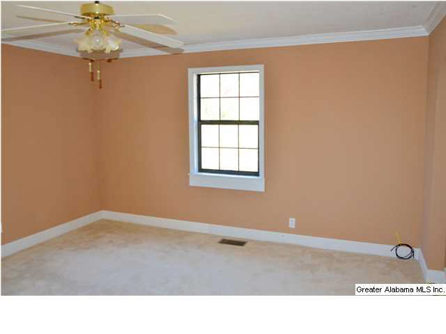 3711 Blue Springs Road Wilsonville, AL 35186 - Photo 8 of 29