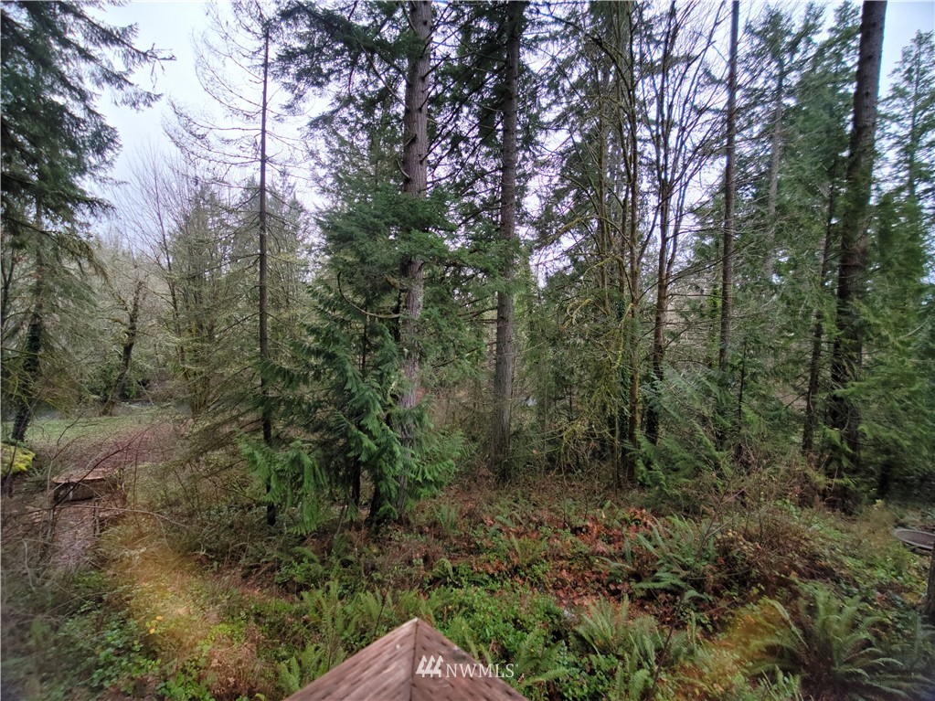15510 Vail Cut Off Road Southeast Rainier, WA 98576 - Photo 20 of 23 Gallery Image 20