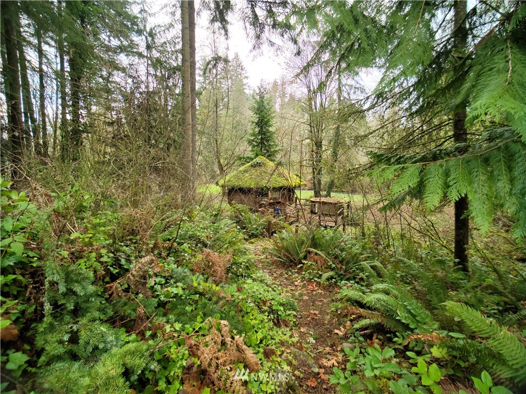 15510 Vail Cut Off Road Southeast Rainier, WA 98576 - Photo 21 of 23 Gallery Image 21