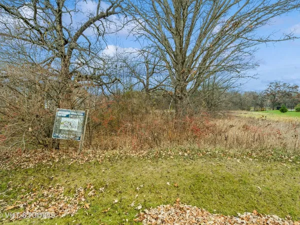 a view of a yard with large trees