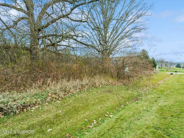 a view of a yard with a tree