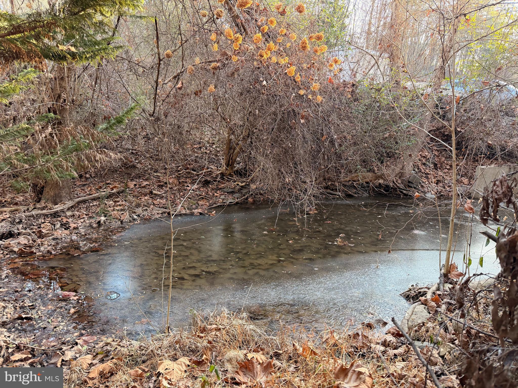 3729 Buck Hill Road Gerrardstown, WV 25420 - Photo 11 of 34