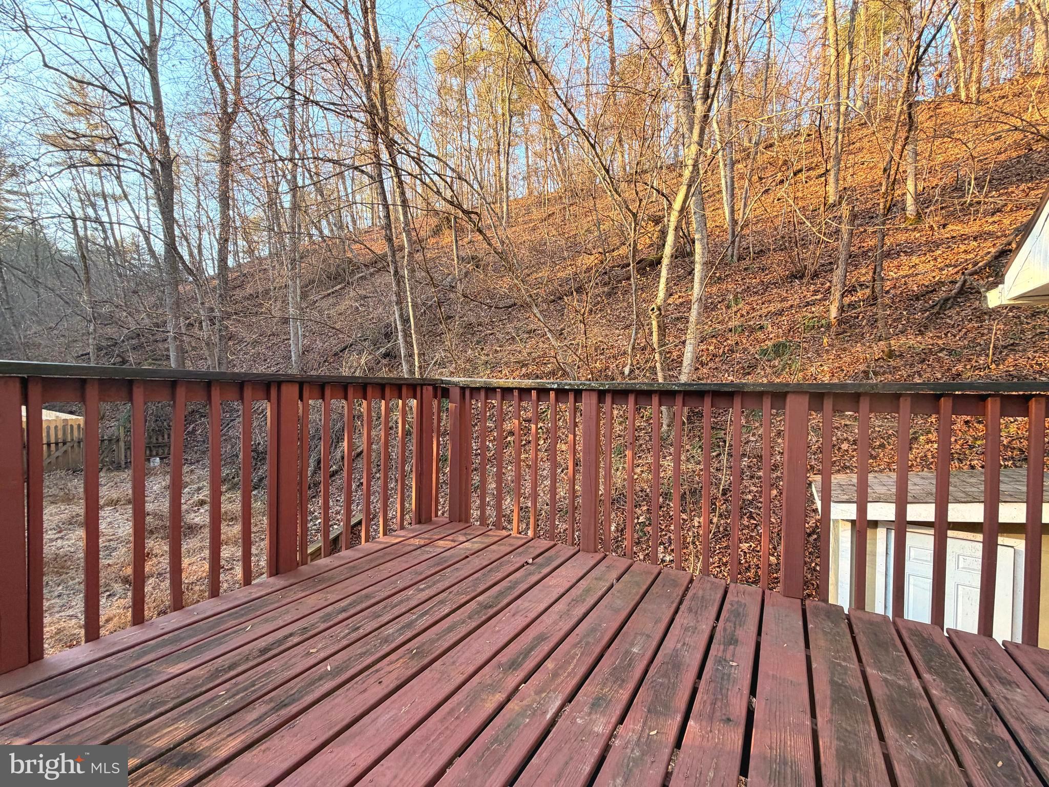 3729 Buck Hill Road Gerrardstown, WV 25420 - Photo 23 of 34