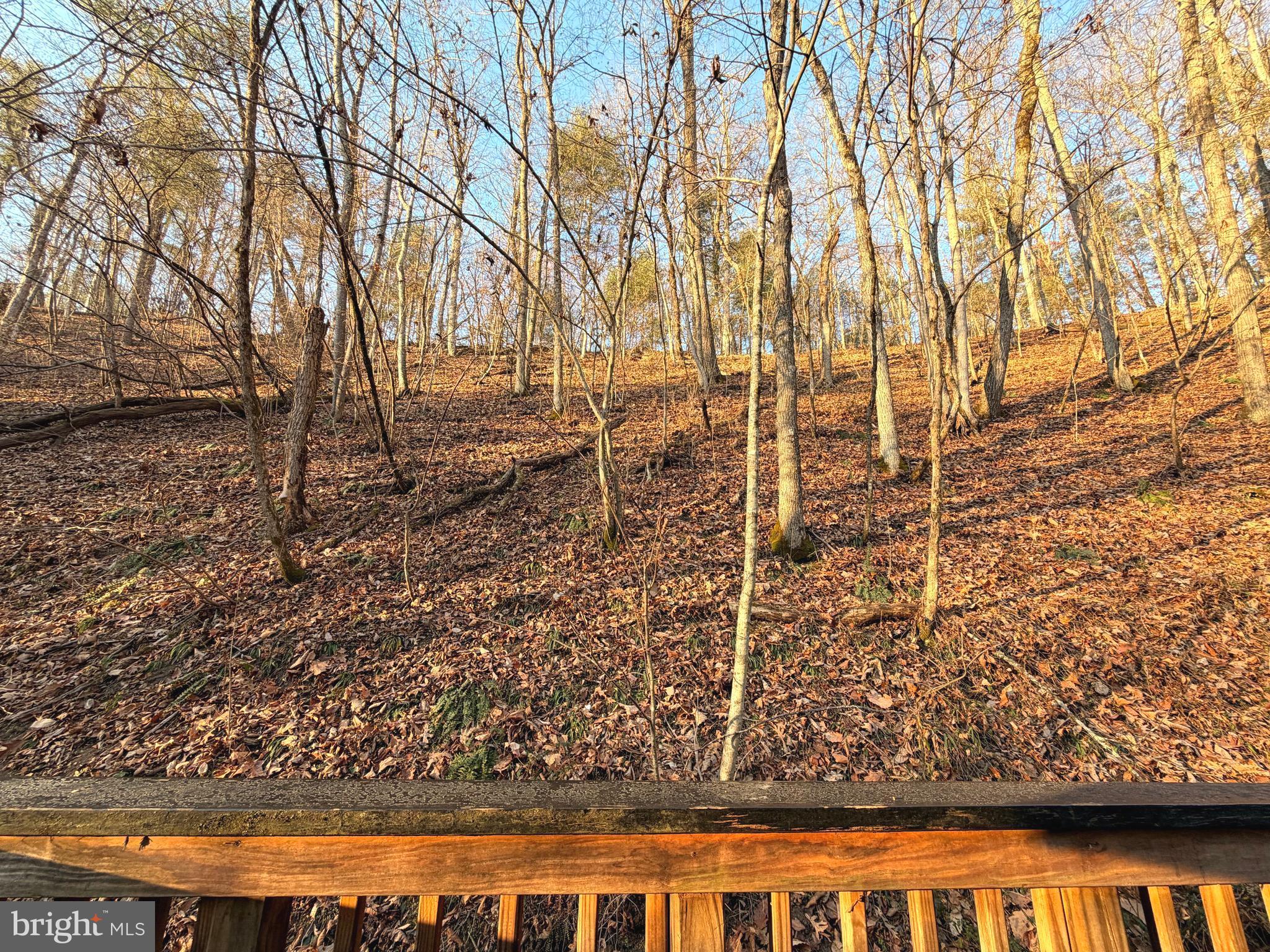 3729 Buck Hill Road Gerrardstown, WV 25420 - Photo 25 of 34