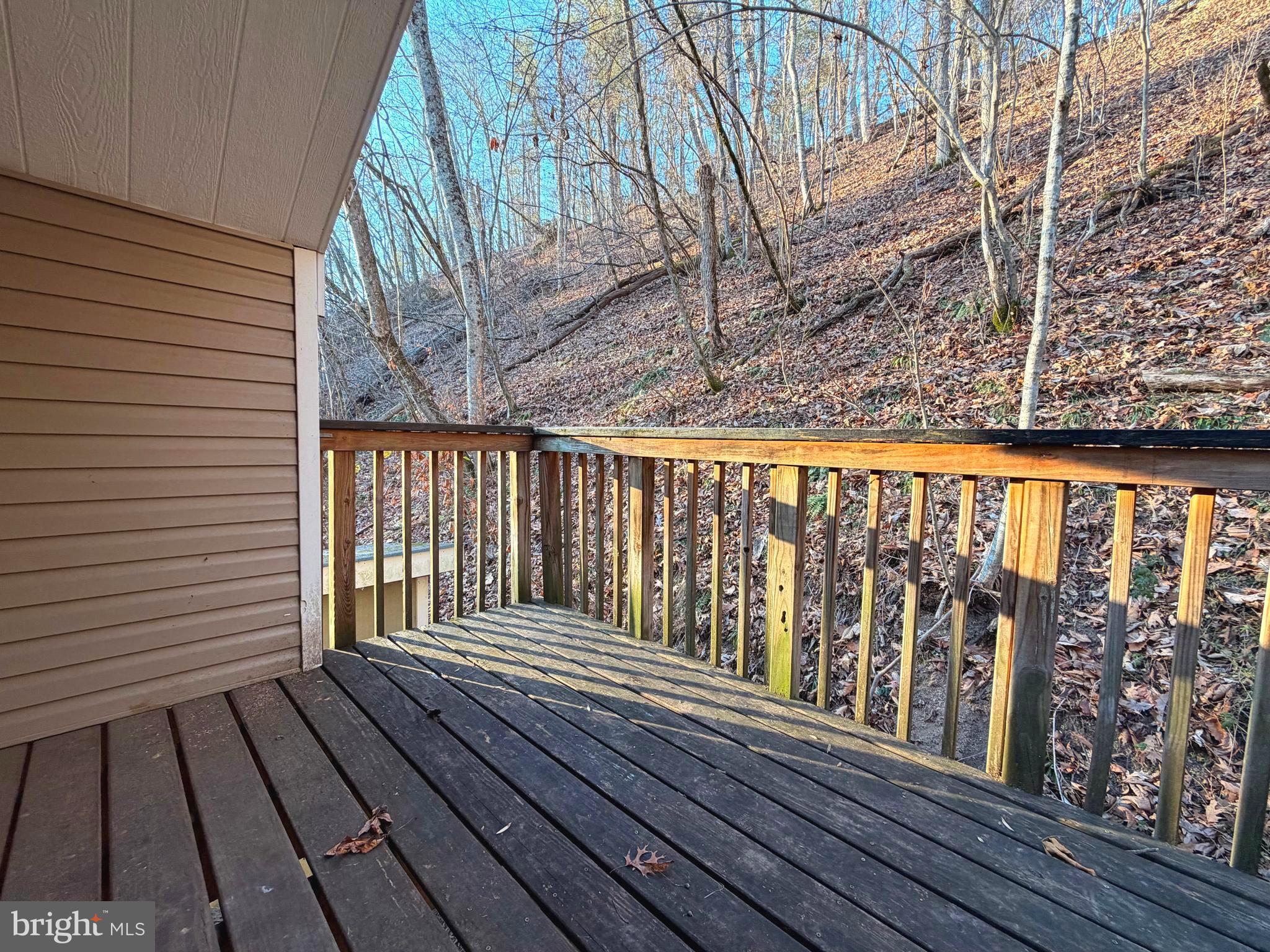 3729 Buck Hill Road Gerrardstown, WV 25420 - Photo 26 of 34