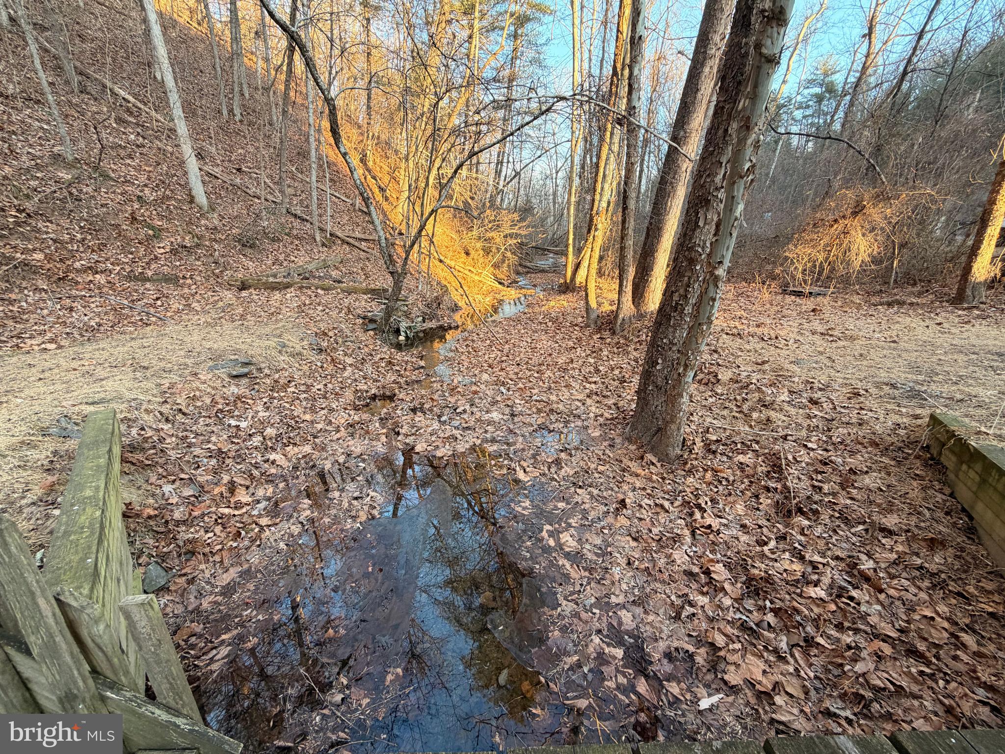 3729 Buck Hill Road Gerrardstown, WV 25420 - Photo 34 of 34