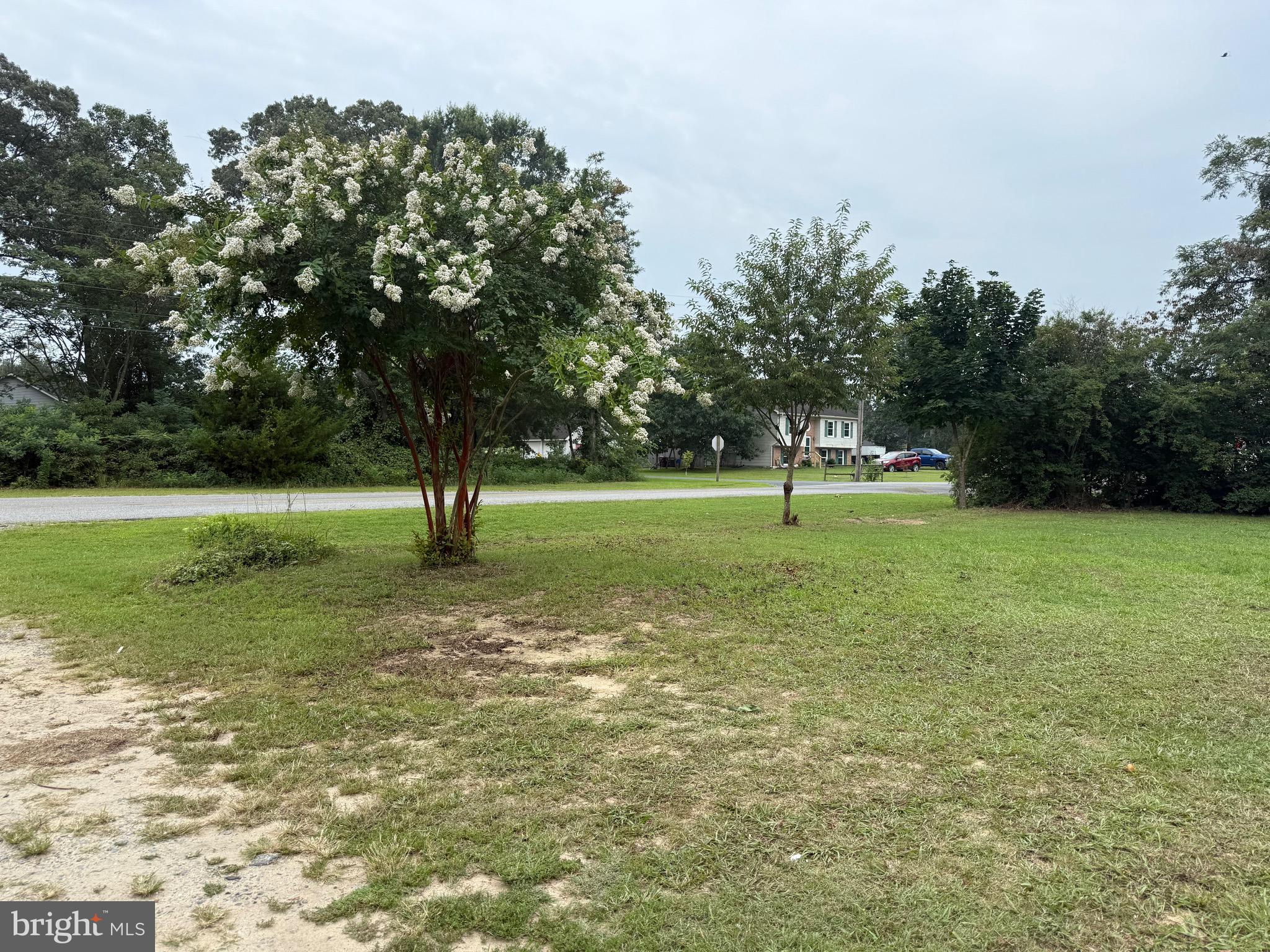 218 3rd Street Crumpton, MD 21628 - Photo 12 of 12 a view of a park with large trees