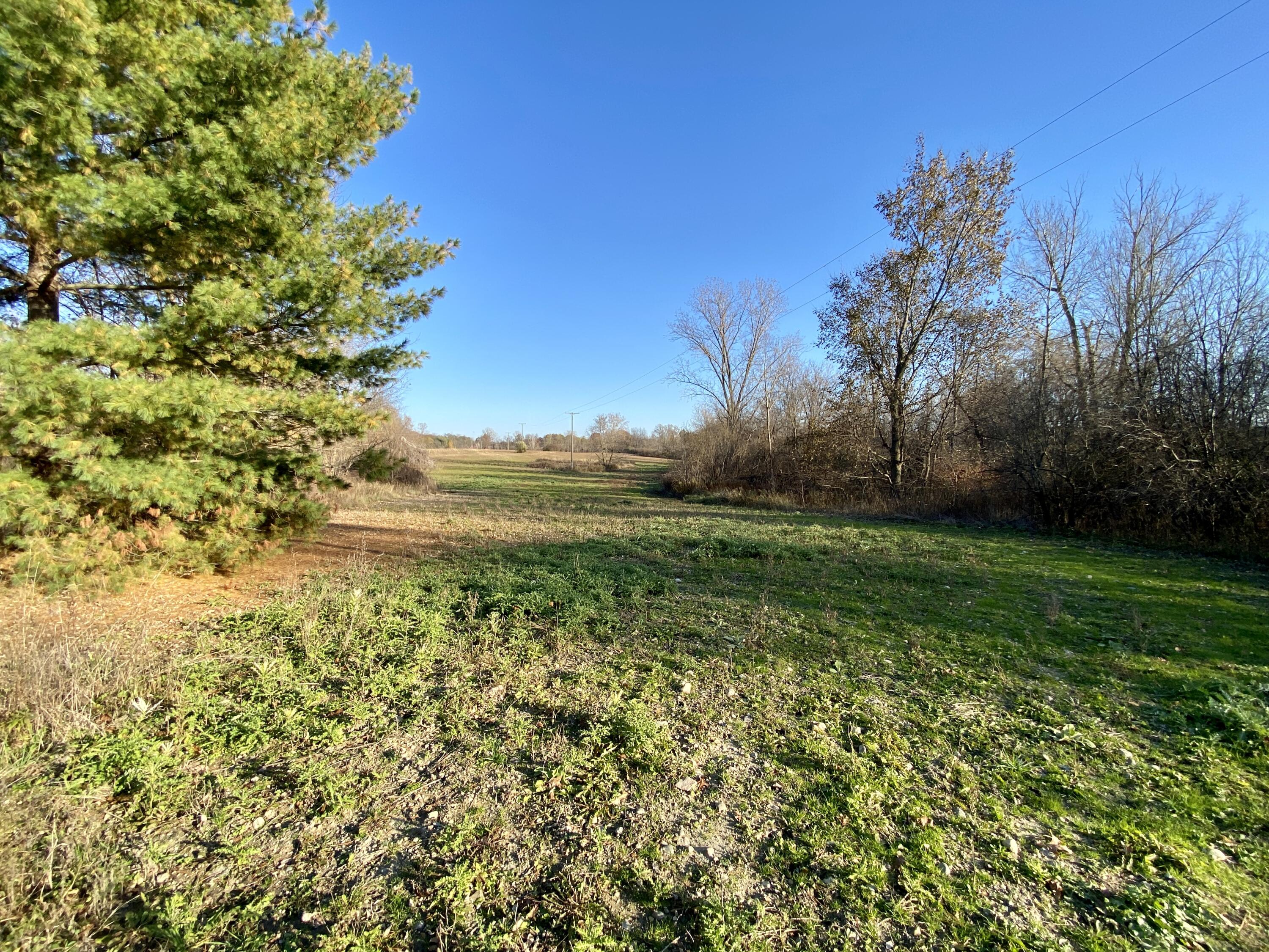 West Road Metamora, MI 48455 - Photo 4 of 7 IMG_6531