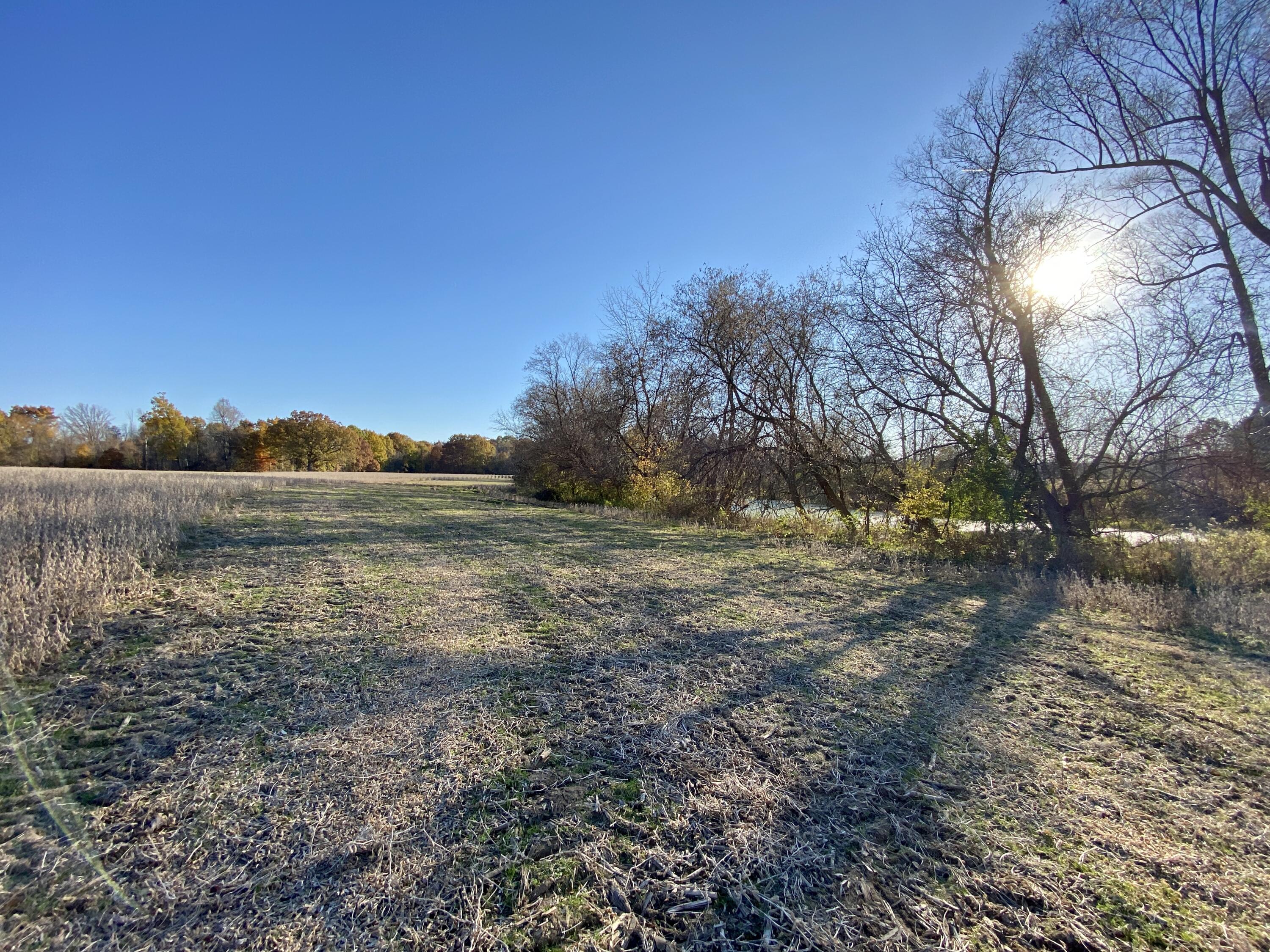 West Road Metamora, MI 48455 - Photo 6 of 7 IMG_6520