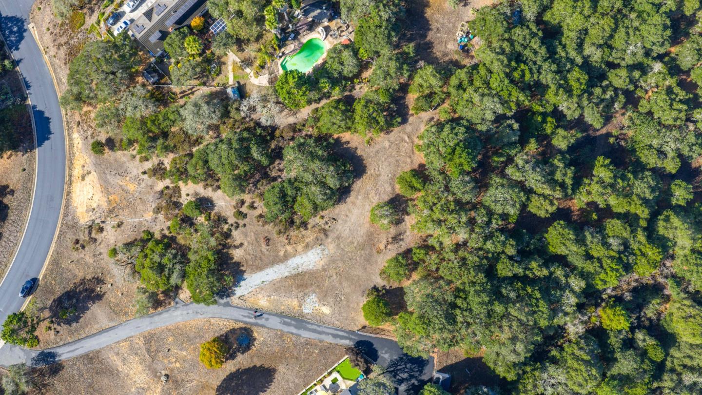 18221 Berta Canyon Road Salinas, CA 93907 - Photo 5 of 13 a view of a plant in a garden