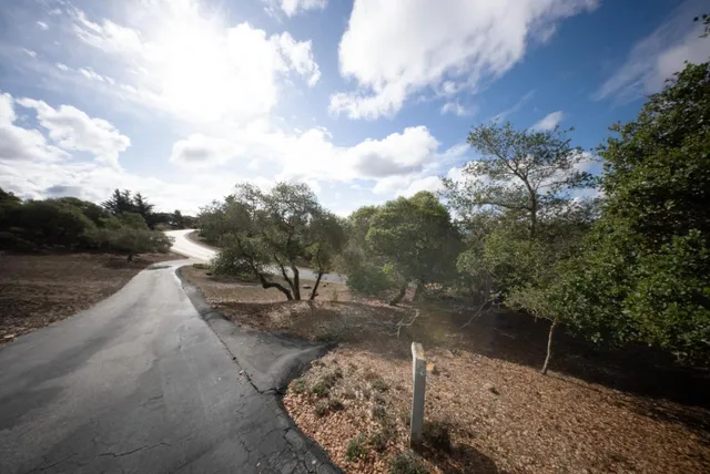 a view of a dry yard with wooden fence