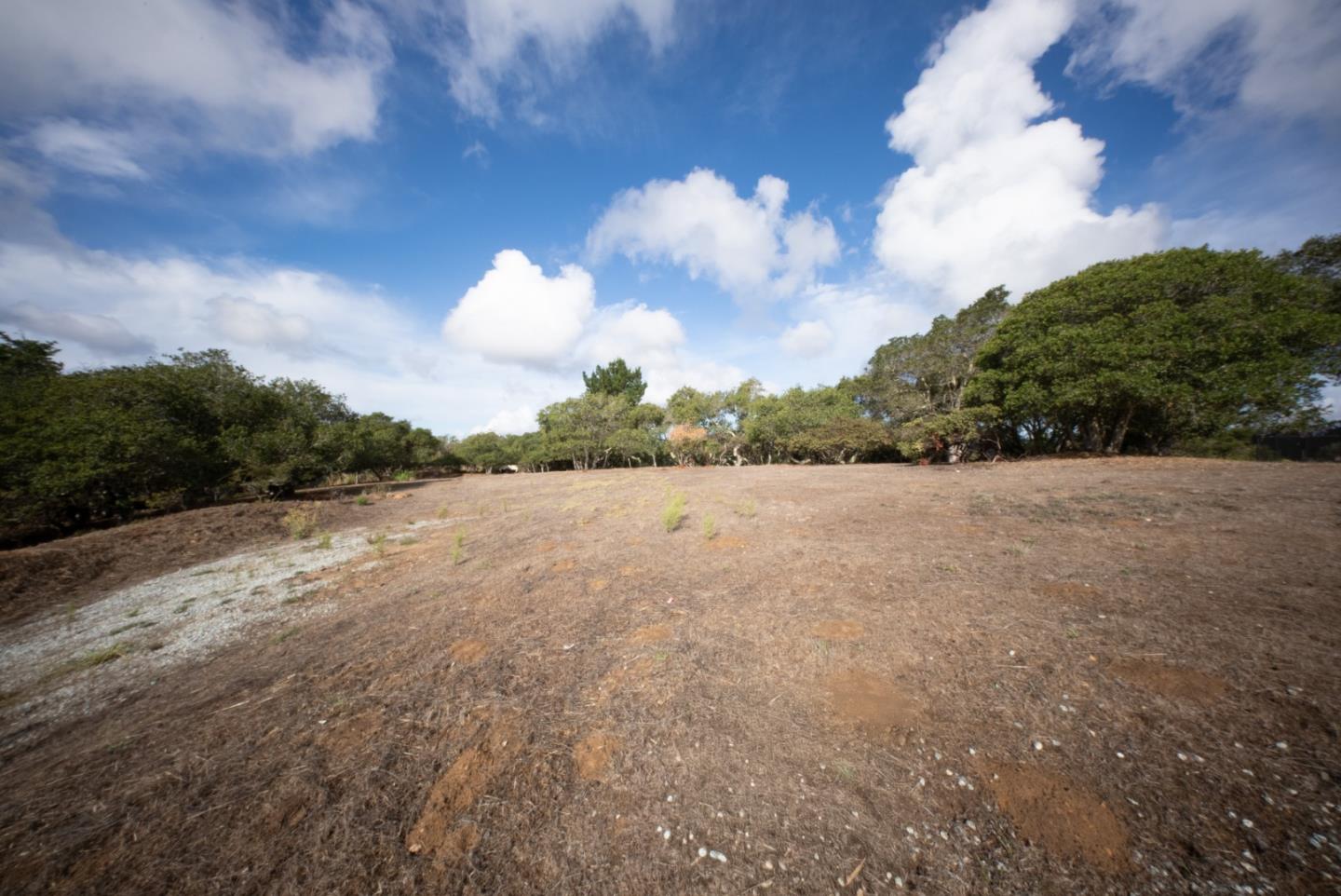 18221 Berta Canyon Road Salinas, CA 93907 - Photo 7 of 13 a view of a lake and yard