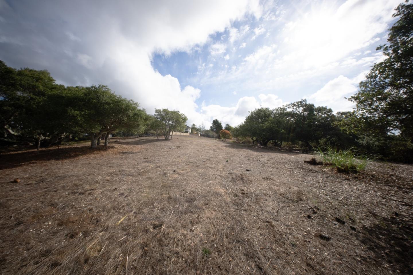 18221 Berta Canyon Road Salinas, CA 93907 - Photo 9 of 13 a view of outdoor space with green field and trees