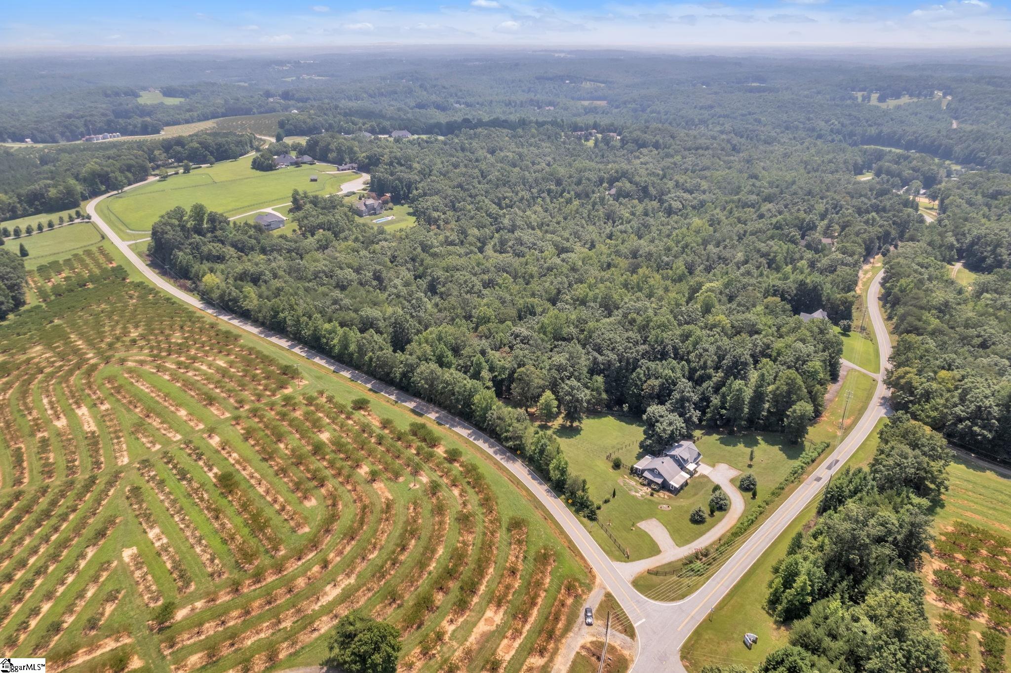 695 Hogback Mountain Road Landrum, SC 29356 - Photo 30 of 31