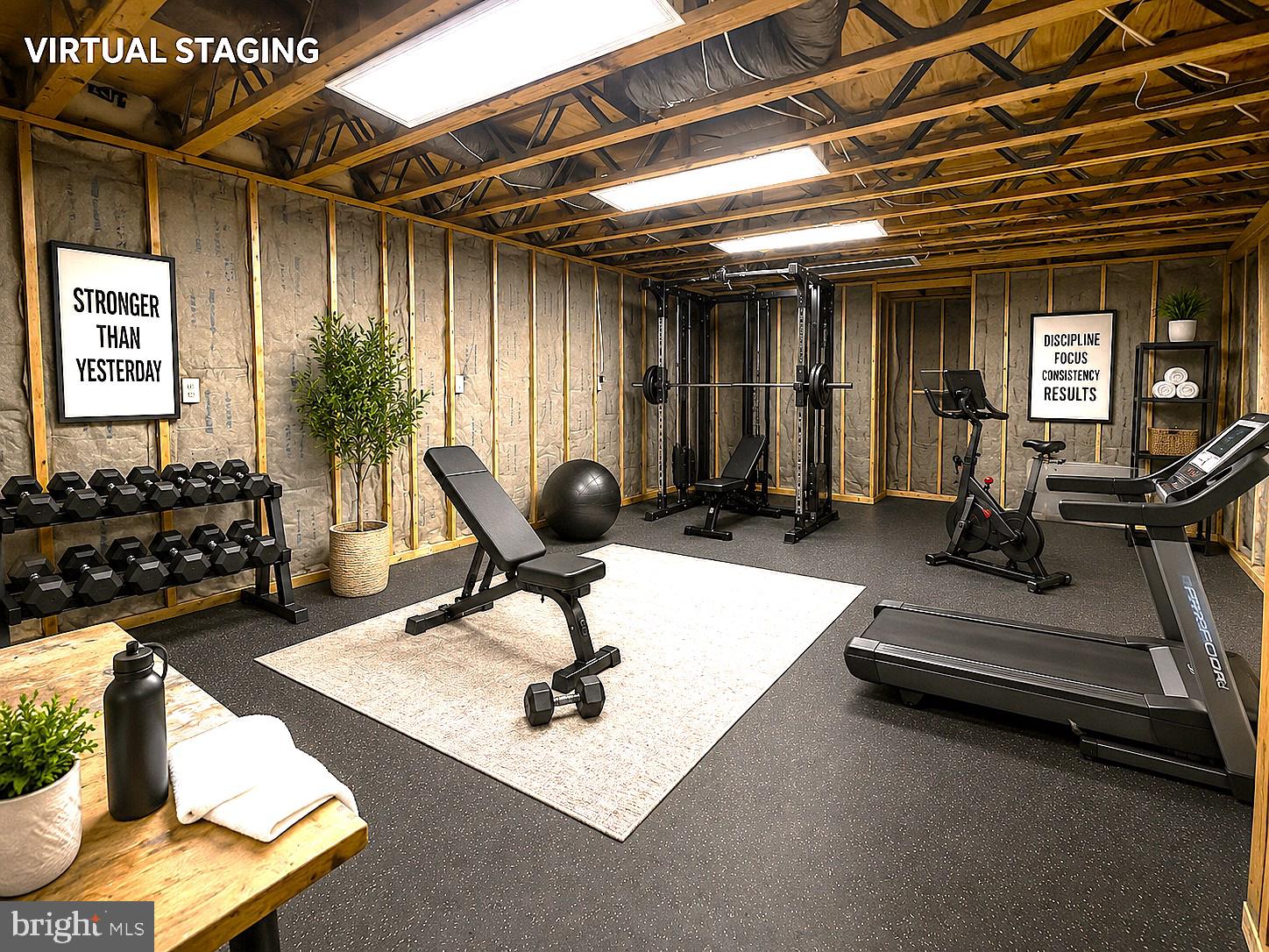 44 Carrollton Road Sterling, VA 20165 - Photo 57 of 68 Storage Rm, Gym, Theater Virtual Stage